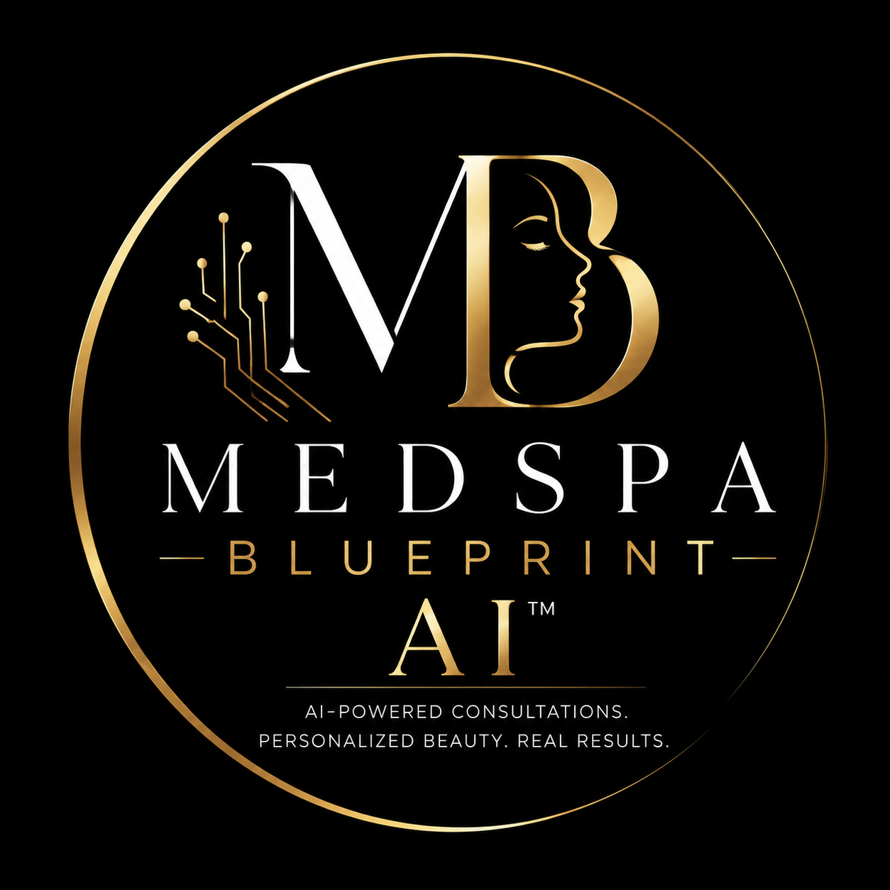 MedSpa Blueprint AI
